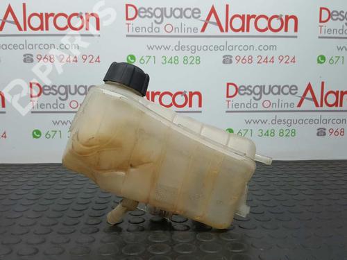 Expansion tank RENAULT KANGOO / GRAND KANGOO II (KW0/1_) 1.5 dCi 8200455786 | 7701478318