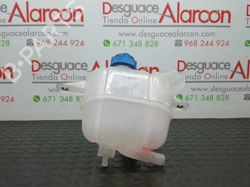 Expansion tank PEUGEOT BIPPER (AA_) 1.3 HDi 75 | BP11380784C120