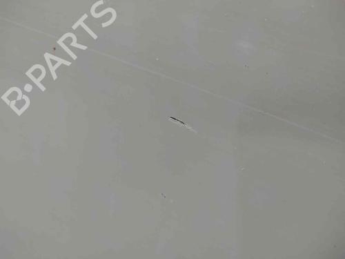 Left rear door NISSAN PATHFINDER III (R51) 2.5 dCi | BP7436319C4