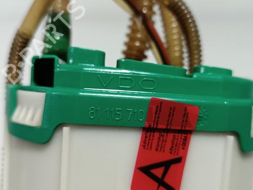 Fuel pump AUDI A8 D3 (4E2, 4E8) 3.0 TDI quattro | BP20152163M76 