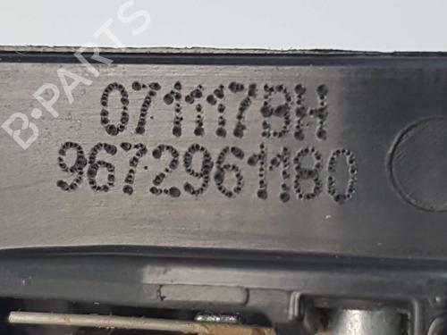 Rear left exterior door handle PEUGEOT 2008 I (CU_) 1.6 BlueHDi 100 | BP4912880C130