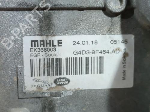 Egr LAND ROVER RANGE ROVER VELAR (L560) 2.0 D240 SD4 4x4 | BP34445502M69  - Image 5
