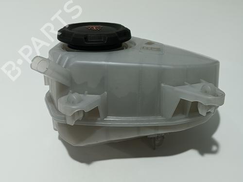 Expansion tank VW GOLF VIII (CD1, DA1) 2.0 TDI | BP11804912C120