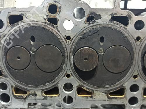 Cylinder head SEAT IBIZA III (6L1) 1.9 TDI | BP13506870M5