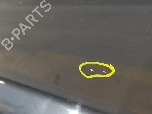 Left front door JEEP GRAND CHEROKEE II (WJ, WG) 3.1 TD 4x4 | BP21086116C2 