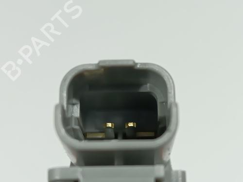 Tailgate handle RENAULT AUSTRAL TCe 160 (HGMJ) | BP30557076C132