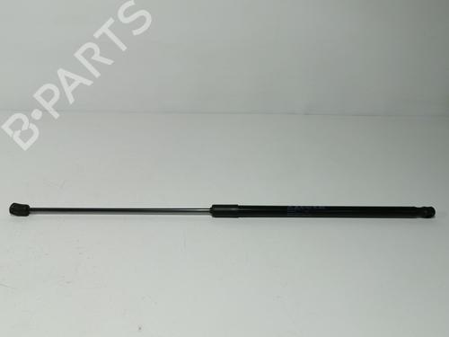 Amortecedor do capot Amortecedor do capot VW TIGUAN (AD1, AX1) [2016-2024] 34383157 34383157