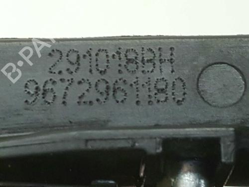 Rear left exterior door handle PEUGEOT 208 I (CA_, CC_) 1.5 BlueHDI 100 | BP11529016C130