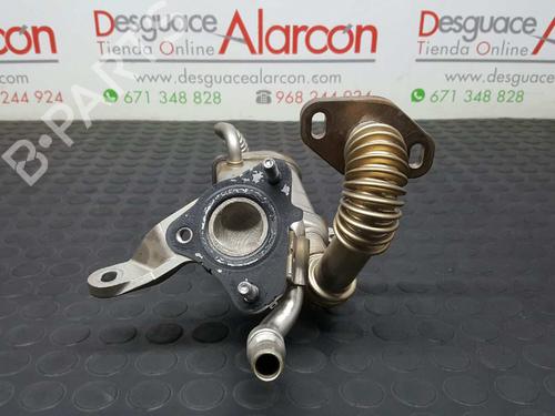 Egr RENAULT KANGOO Express (FW0/1_)  | BP14530778M69 