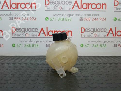 Ekpansionstank CITROËN BERLINGO MULTISPACE (B9) 1.6 HDi 110 (109 hp) 2734149
