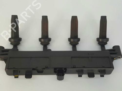 Ignition coil PEUGEOT 206 Hatchback (2A/C) 1.9 D | BP9191424M94 