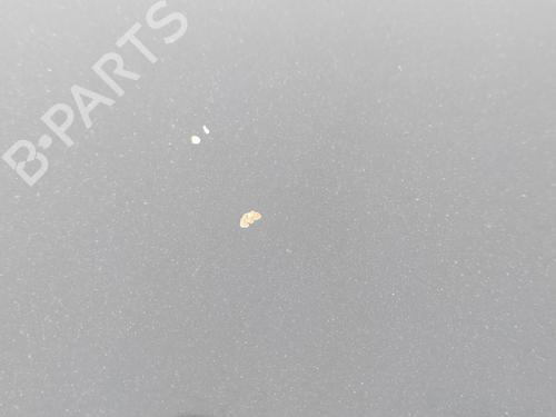 Hood JEEP GRAND CHEROKEE II (WJ, WG) 3.1 TD 4x4 | BP21086083C1 