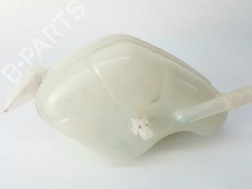 Expansion tank NISSAN QASHQAI II (J11, J11_) 1.6 dCi | BP5934836C120