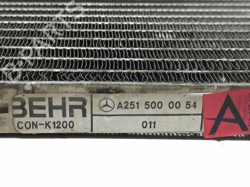 AC radiator MERCEDES-BENZ M-CLASS (W164) ML 320 CDI 4-matic (164.122) | BP25750351M32