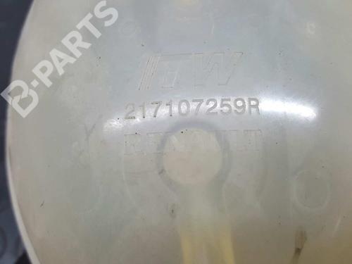 Expansion tank DACIA LODGY (JS_) 1.5 dCi (JSMC, JSAF) | BP2728794C120 