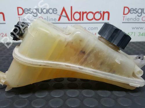Expansion tank PEUGEOT PARTNER MPV (5_, G_) 2.0 HDI | BP2732893C120
