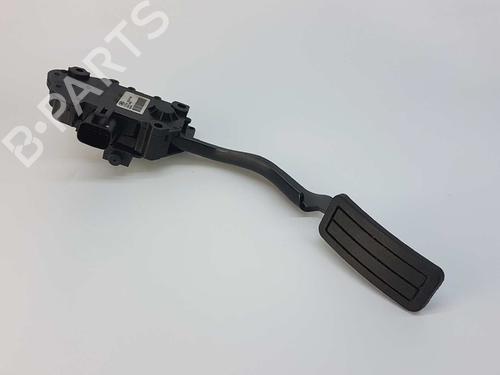 Used Pedal LAND ROVER RANGE ROVER SPORT I (L320) 2.7 D 4x4 (190 hp) 8210696
