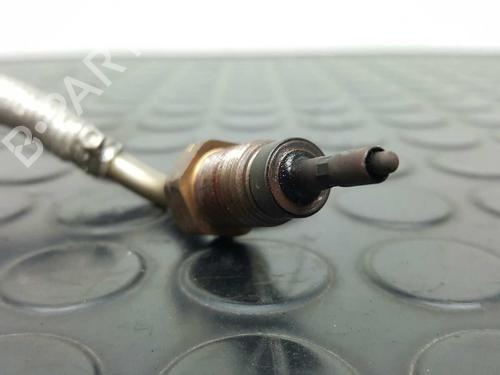 Electronic sensor VW GOLF VII (5G1, BQ1, BE1, BE2) 1.6 TDI | BP8748878M84 