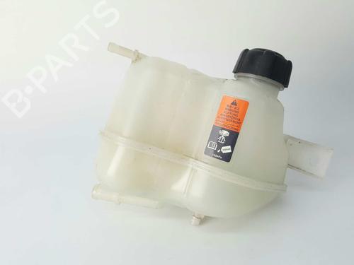 Used Expansion tank NISSAN QASHQAI II (J11, J11_) 1.6 dCi (130 hp) 5934836
