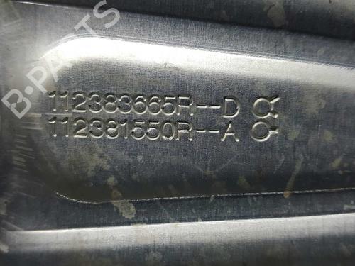 Engine mount RENAULT KANGOO Express (FW0/1_)  | BP10263794M89