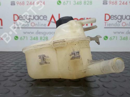 Expansion tank RENAULT MEGANE III Hatchback (BZ0/1_, B3_) 1.5 dCi | BP2742958C120