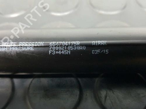Hood lift support DACIA DOKKER Box Body/MPV 1.5 dCi (FEAJ) | BP14532578C139