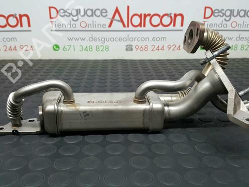 Egr RENAULT KANGOO Express (FW0/1_)  | BP14530778M69 