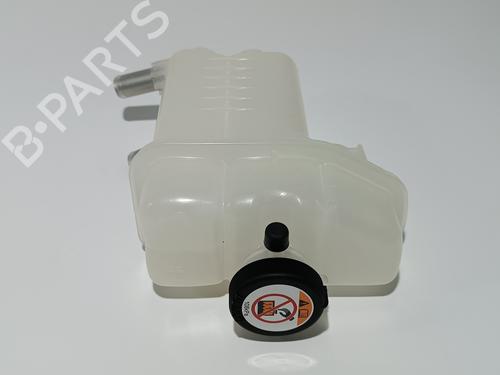 Expansion tank TOYOTA RAV 4 V (_A5_, _H5_) 2.5 Hybrid AWD (AXAH54) | BP16438137C120