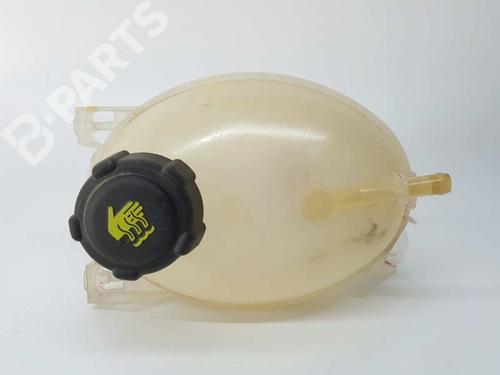 Expansion tank DACIA LODGY (JS_) 1.2 TCe (JSAY, JSM0) | BP4036179C120 