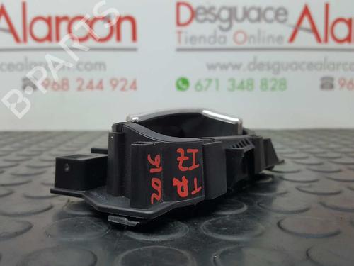Rear left interior door handle CITROËN C3 Picasso (SH_) 1.6 HDI 90 | BP3328517I15 