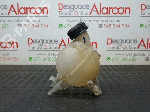 Used Expansion tank CITROËN C3 II (SC_) 1.4 HDi 70 (SC8HZC, SC8HR0, SC8HP4) (68 hp) 2749168