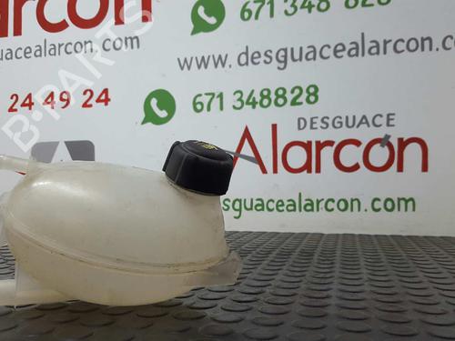 Ekspansjonstank RENAULT CLIO IV (BH_) 1.2 16V (BHA1, BHAK, BHMG, BHMK) (75 hp) 2748788