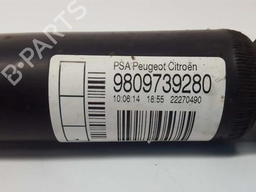 Right rear shock absorber CITROËN C4 CACTUS 1.2 VTi 82 | BP3281551M19 