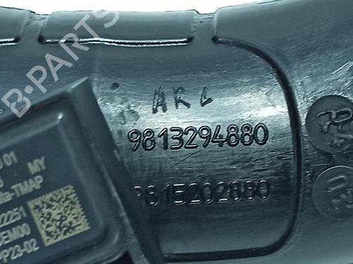 Rør PEUGEOT 208 II (UB_, UP_, UW_, UJ_) 1.5 BlueHDI 100 | BP16662203M125