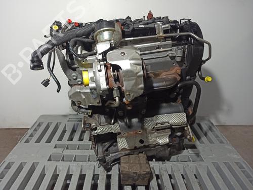 Engine AUDI A4 B9 (8W2, 8WC) 2.0 TDI | BP23437079M1 