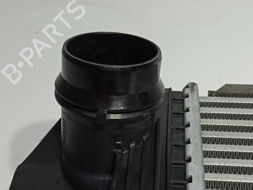 Intercooler BMW 1 (F21) 116 d | BP17919975M30 