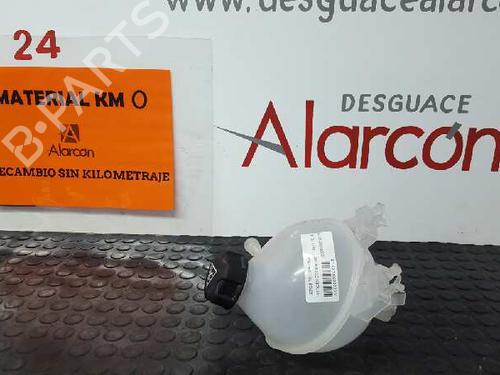 Used Expansion tank CITROËN C3 II (SC_) 1.2 VTi 82 (82 hp) 2781912