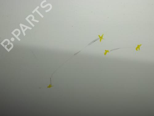 Right rear door SKODA FABIA II (542) 1.2 | BP19773554C5 