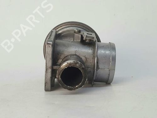 Egr BMW 3 (E46) 320 d | BP8315195M69 