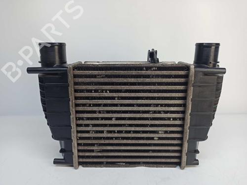 Used Intercooler RENAULT CLIO III (BR0/1, CR0/1) 1.2 16V (BR0P, CR0P) (101 hp) 9299935