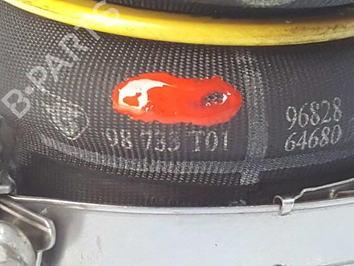 Pipe PEUGEOT 208 I (CA_, CC_) 1.6 HDi | BP14542331M125 