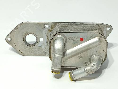 Oil radiator FORD TRANSIT V363 Platform/Chassis (FED, FFD) | BP38176295M33 - Image 4