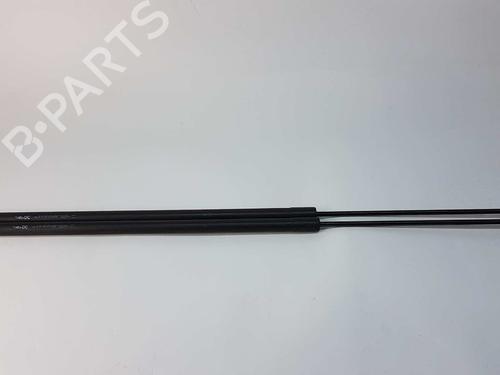 Used Tailgate lift support RENAULT KANGOO / GRAND KANGOO II (KW0/1_) 1.5 dCi 90 (KW05, KW08, KW0G, KW11) (90 hp) 14530422