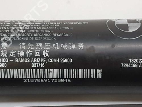 Tailgate lift support BMW X5 (F15, F85) xDrive 30 d | BP14542588C138 