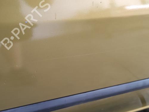 Right front door RENAULT CLIO III (BR0/1, CR0/1) 1.5 dCi (BR17, CR17) | BP21085987C3