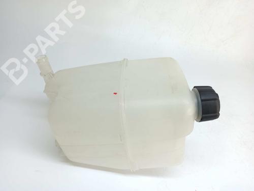 Expansion tank RENAULT KANGOO / GRAND KANGOO II (KW0/1_) Z.E. 929A02941R | 272687096R