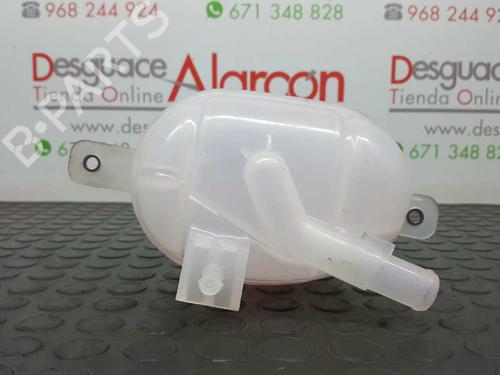 Expansion tank PEUGEOT BIPPER (AA_) 1.3 HDi 75 | BP11380784C120