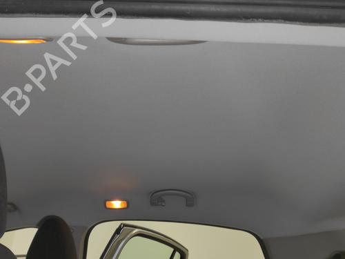 Interior roof FIAT BRAVO II (198_) 1.6 D Multijet (198AXH1B) | BP17461569I12 