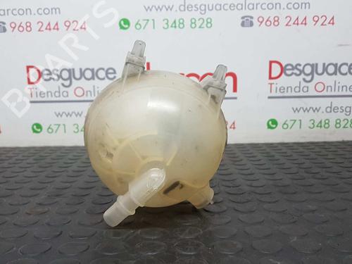 Expansion tank PEUGEOT EXPERT Van (VF3A_, VF3U_, VF3X_) 1.6 HDi 90 8V | BP2734785C120
