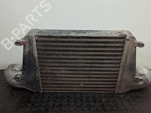 Intercooler NISSAN CABSTAR E (TL_, VL_)  | BP11495148M30 